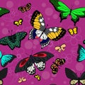 Butterfly seamless pattern. Flying insects background, cute butterflies silhouette i